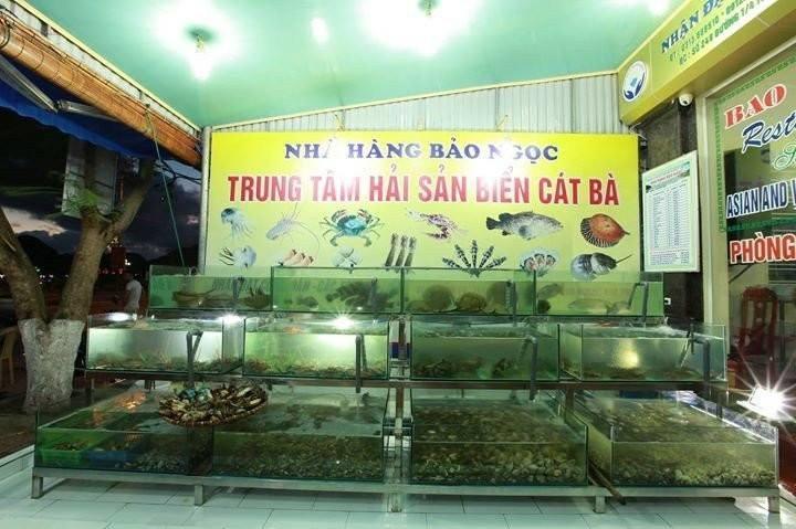 Bao Ngoc Hotel Dong Khe Sau المظهر الخارجي الصورة